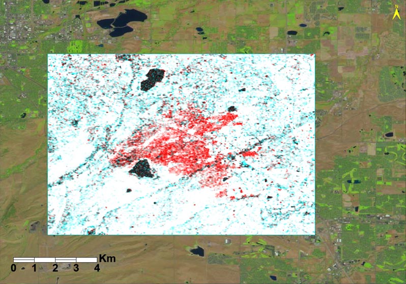 SAR Analyisis of Marshall Fire