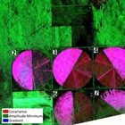 Comparing Amplitude and Coherence Time Series With ICEYE US GTR Data and ENVI SARscape