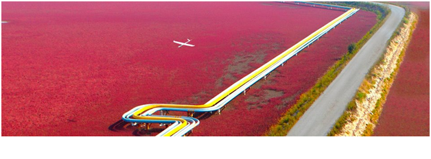 Delair-Tech UAV will be the first to fly over New York